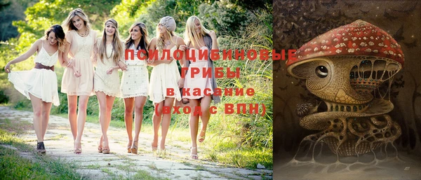 стафф Каменка