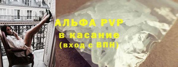 скорость Каменногорск