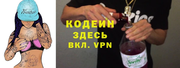 стафф Каменка